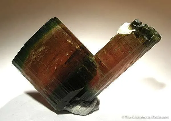 Elbaite Tourmaline (Floater!) - image 1