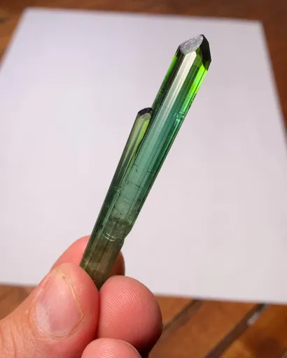 specimen video