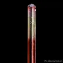 Elbaite Tourmaline "gem pencil" - image 3