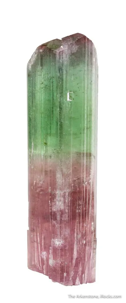 Elbaite Tourmaline "Glass top" - image 5