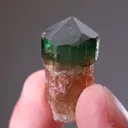 Elbaite Tourmaline group - image 2