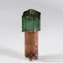 Elbaite Tourmaline  (illustrated) - image 2