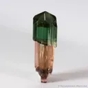 Elbaite Tourmaline  (illustrated) - image 1