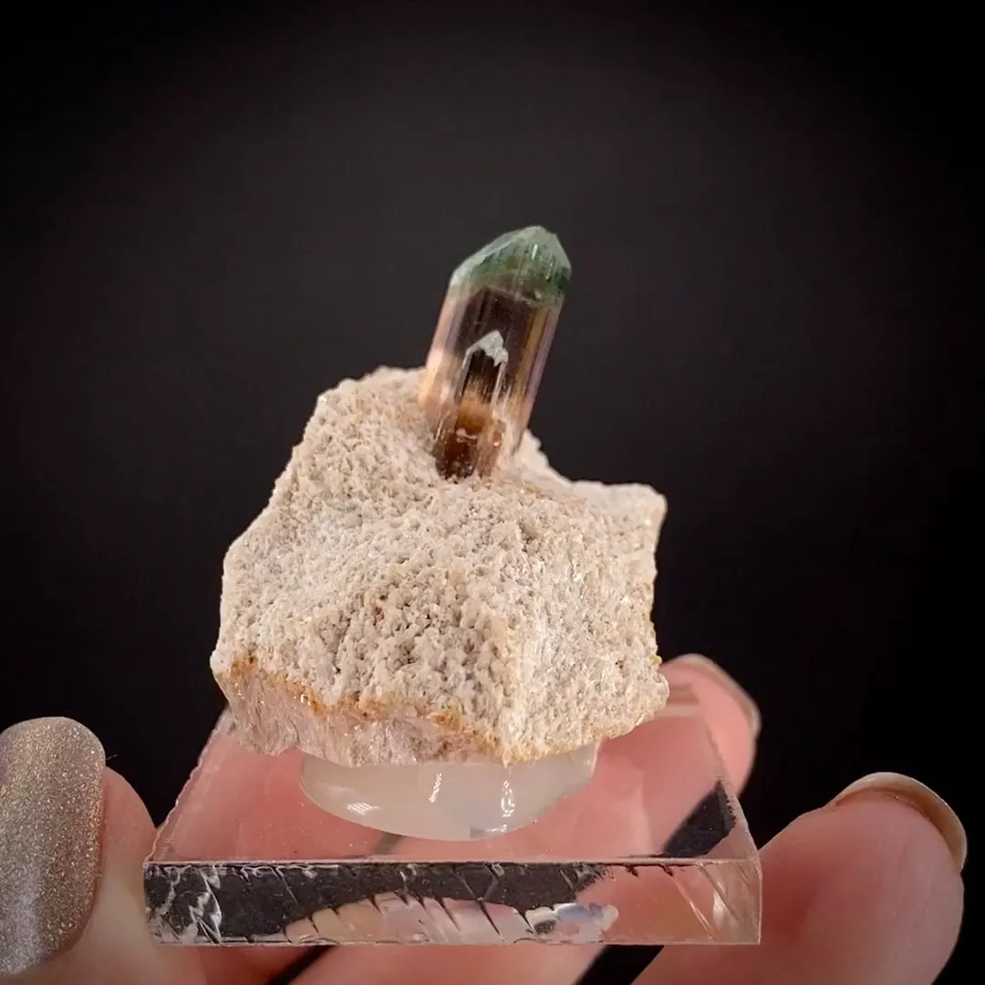 Elbaite Tourmaline in Cookeite - image 1