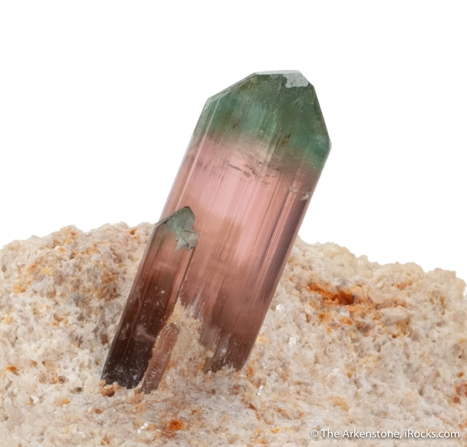 Elbaite Tourmaline in Cookeite - image 3
