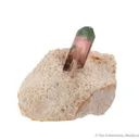 Elbaite Tourmaline in Cookeite - image 5