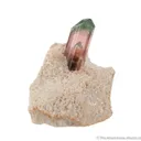 Elbaite Tourmaline in Cookeite - image 4