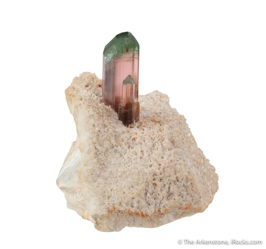 Elbaite Tourmaline in Cookeite - image 6