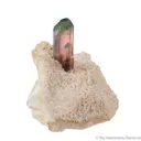 Elbaite Tourmaline in Cookeite - image 6