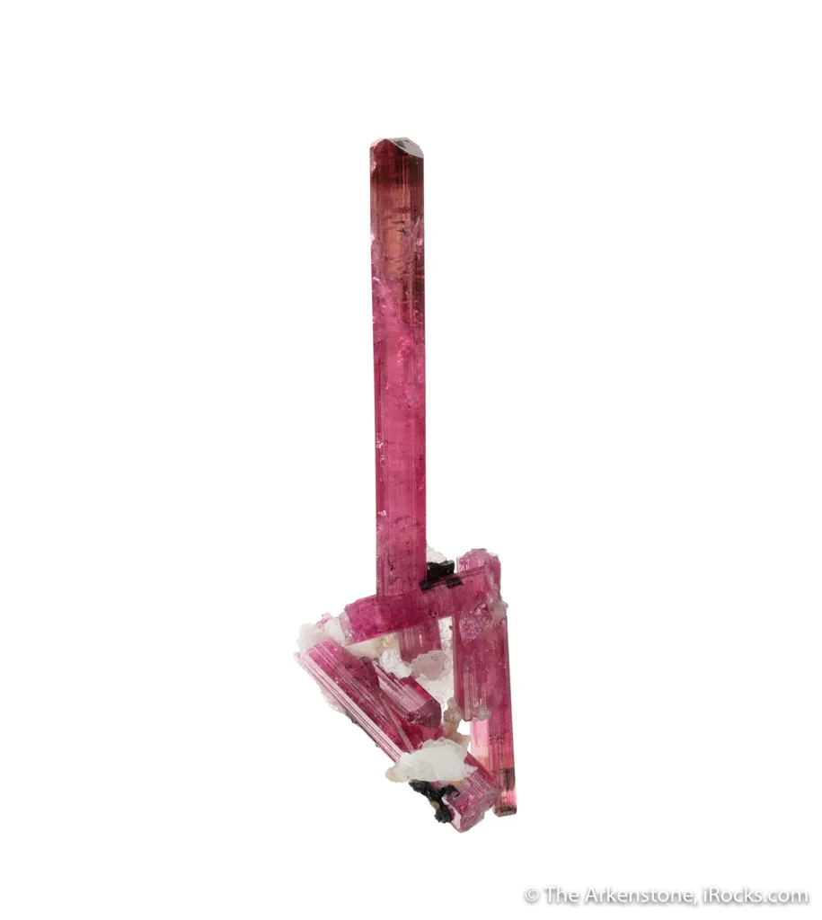 Elbaite Tourmaline (Jonas 1978 Pocket!) - image 2