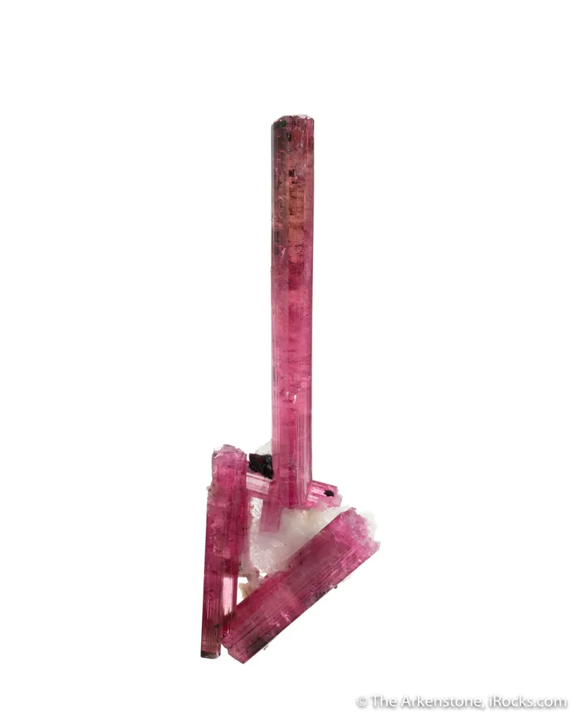 Elbaite Tourmaline (Jonas 1978 Pocket!) - image 3
