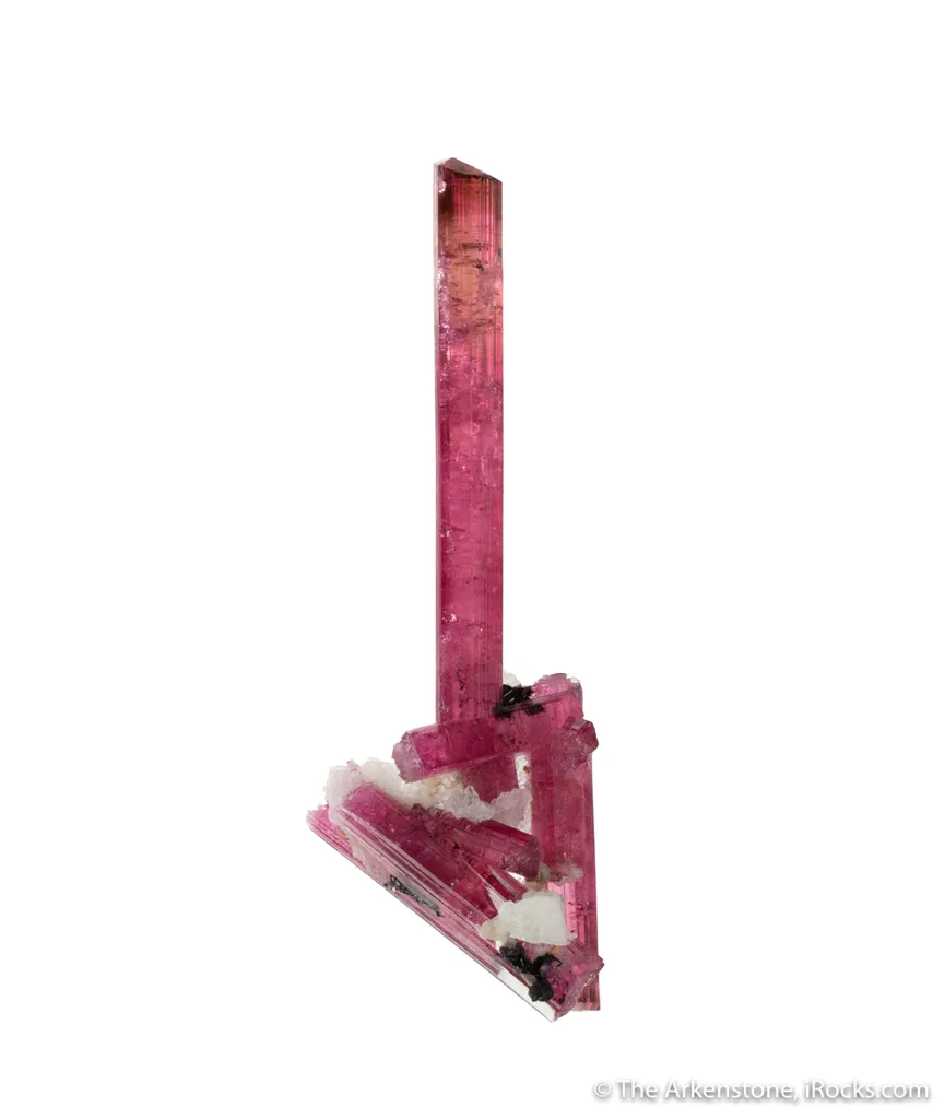 Elbaite Tourmaline (Jonas 1978 Pocket!) image