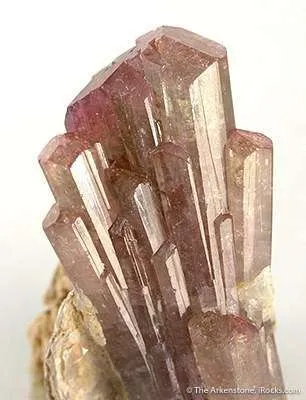Elbaite Tourmaline on Muscovite - image 2