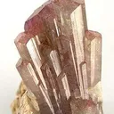 Elbaite Tourmaline on Muscovite - image 2