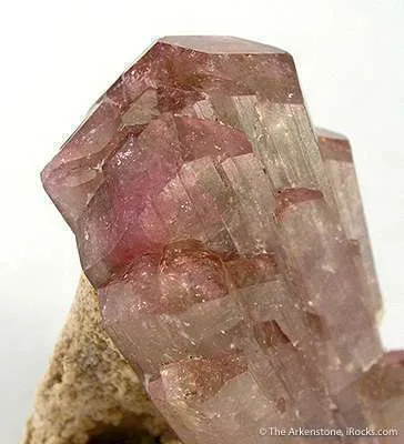 Elbaite Tourmaline on Muscovite - image 3