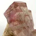 Elbaite Tourmaline on Muscovite - image 3