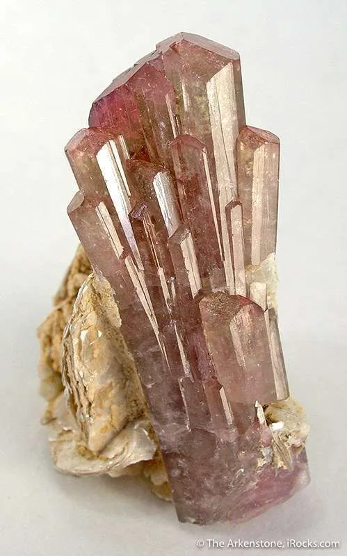 Elbaite Tourmaline on Muscovite image