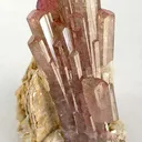 Elbaite Tourmaline on Muscovite - image 1