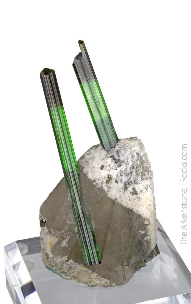 Elbaite Tourmaline on Quartz image
