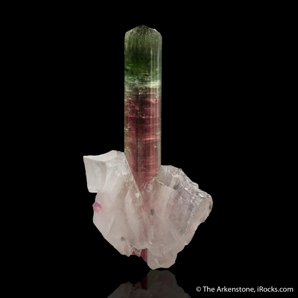 Elbaite Tourmaline on Quartz image
