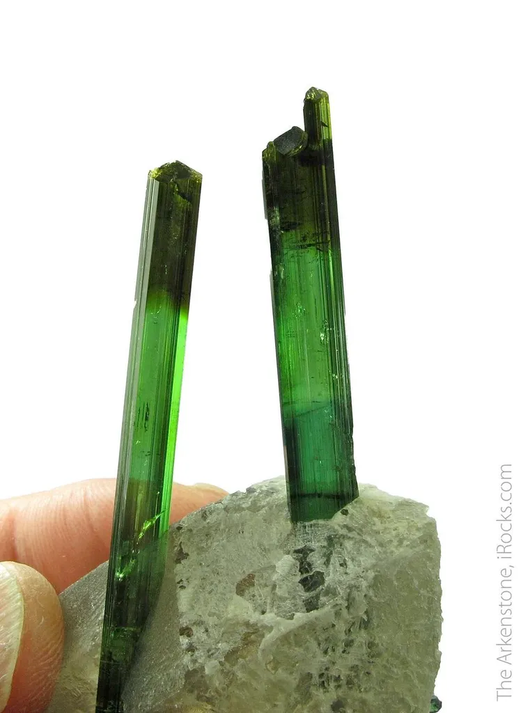 Elbaite Tourmaline on Quartz - image 4