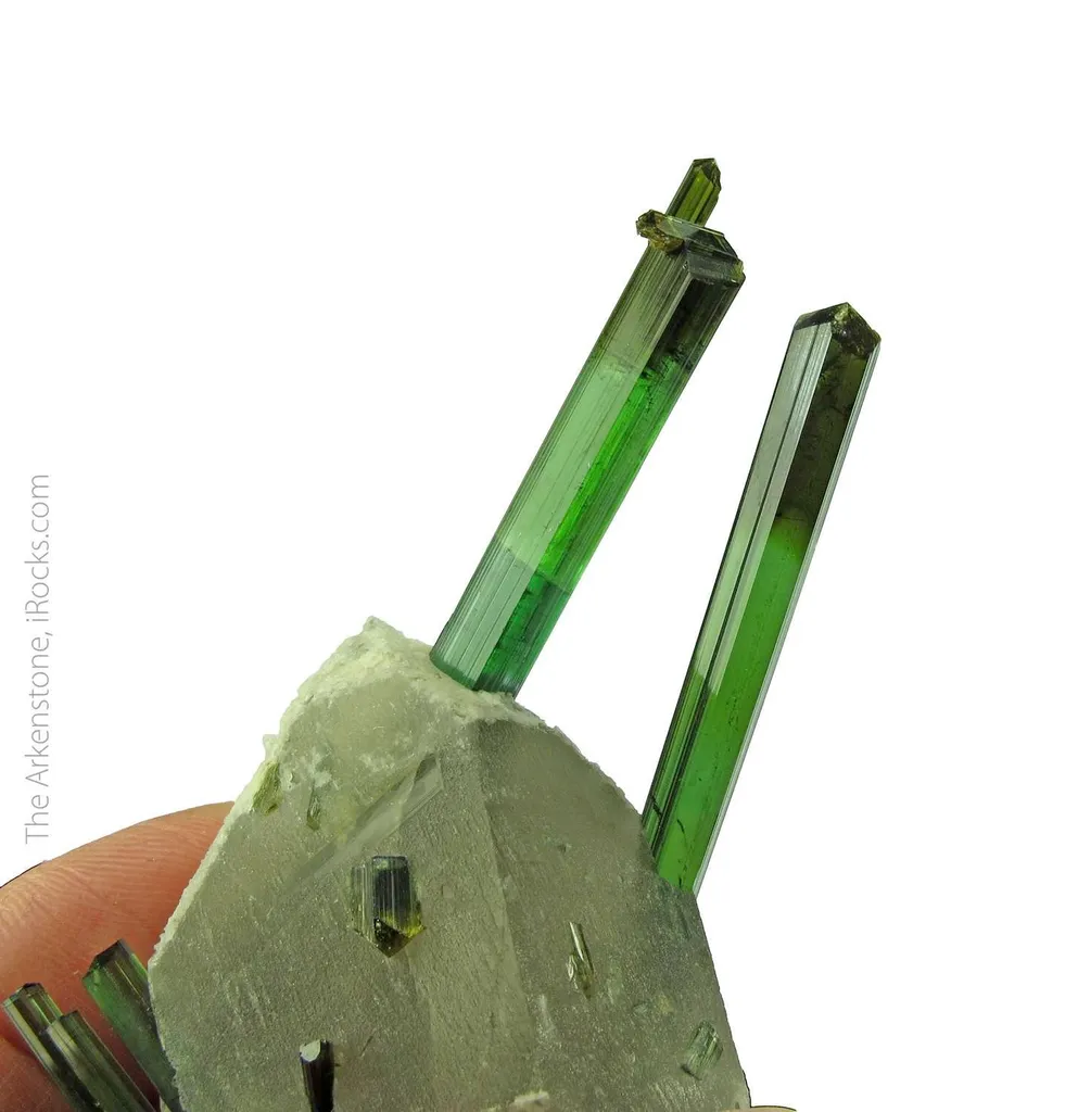 Elbaite Tourmaline on Quartz - image 2