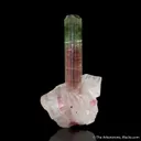 Elbaite Tourmaline on Quartz - image 2
