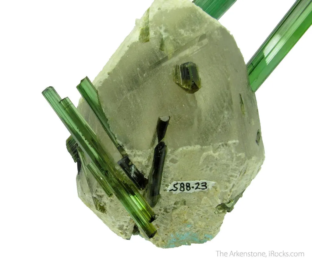 Elbaite Tourmaline on Quartz - image 5