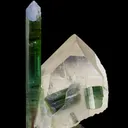 Elbaite Tourmaline, on Quartz - image 3