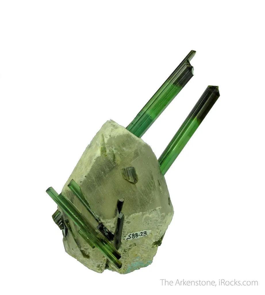 Elbaite Tourmaline on Quartz - image 3