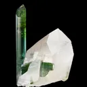Elbaite Tourmaline, on Quartz - image 4