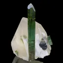 Elbaite Tourmaline, on Quartz - image 2