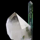 Elbaite Tourmaline, on Quartz - image 5