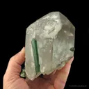 Elbaite Tourmaline on Quartz (Floater) - image 5