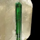 Elbaite Tourmaline on Quartz (Floater) - image 2