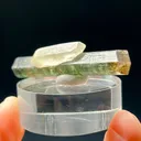 Elbaite Tourmaline & Quartz - image 4
