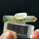 Elbaite Tourmaline & Quartz - image 5