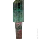 Elbaite Tourmaline (scepter) - image 1