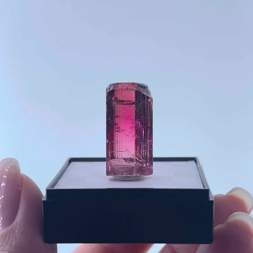 Elbaite Tourmaline var. Rubellite image