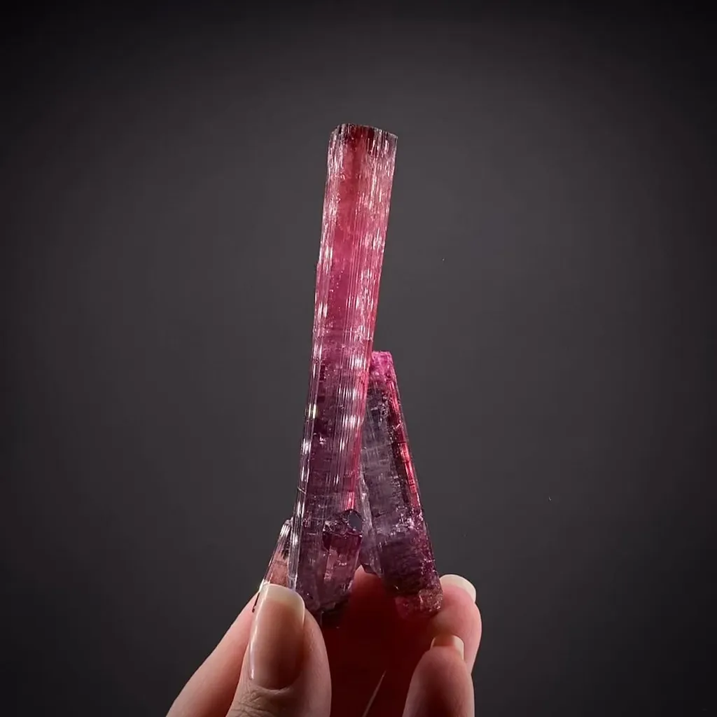 Elbaite Tourmaline var Rubellite image