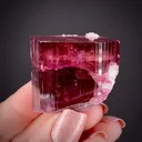 Elbaite Tourmaline var. Rubellite with Albite - image 2