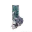 Elbaite Tourmaline w/ Lepidolite and Albite - image 1
