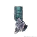 Elbaite Tourmaline w/ Lepidolite and Albite - image 2
