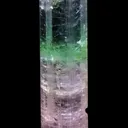 Elbaite Tourmaline with Achroite top - image 3
