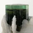 Elbaite Tourmaline With Albite - image 3