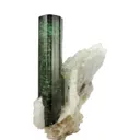 Elbaite Tourmaline with Albite - image 3