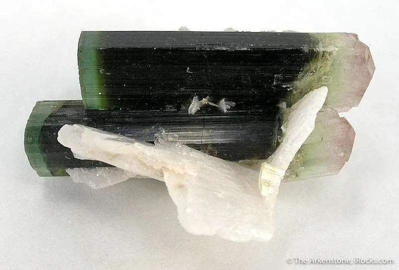 Elbaite Tourmaline With Albite image