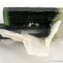 Elbaite Tourmaline With Albite - image 1