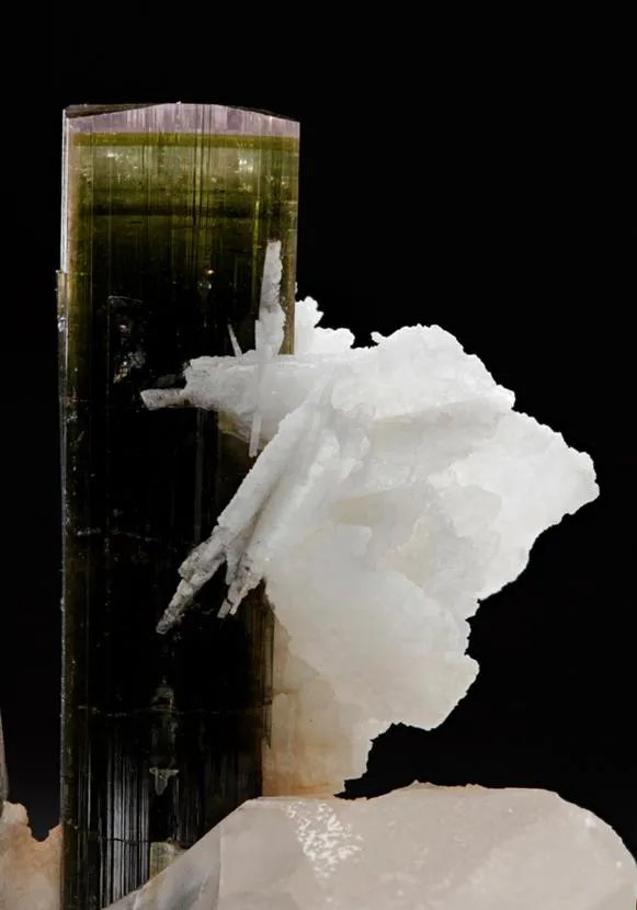 Elbaite Tourmaline with Albite and Quartz - image 1
