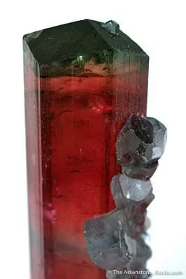 Elbaite Tourmaline With Apatite - image 3